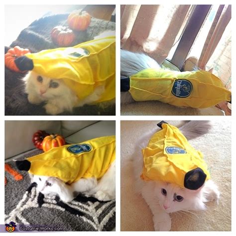 Chiquita Banana Cat Costume - Photo 2/2