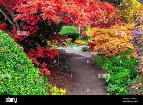 WA17919-00.....WASHINGTON - Fall colors in Kubota Garden, Seattle Stock ...