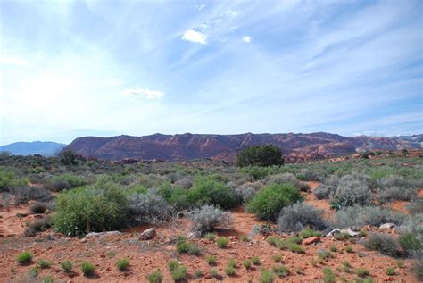 Snow Canyon State Park Petroglyphs - Hike St George