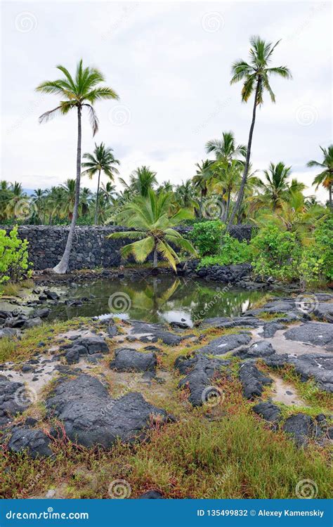 Pu`uhonua O Honaunau Royalty-Free Stock Image | CartoonDealer.com ...