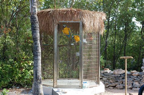 outdoor aviaries | Toucan aviaries by www.cagesbydesign.com | Dave Womach | Flickr