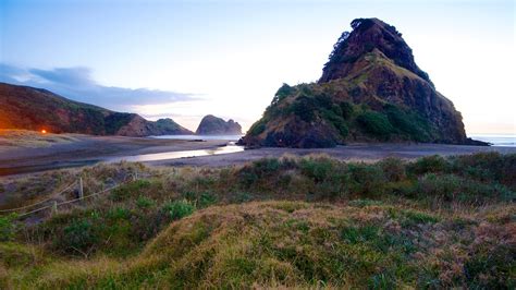 Piha Beach in Auckland, | Expedia