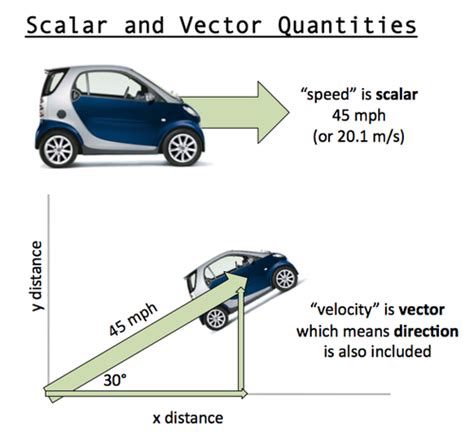 Examples of Scalar and Vector Quantities - physical therapy day quotes