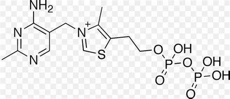 Dietary Supplement Thiamine Pyrophosphate Thiamine Deficiency Vitamin ...