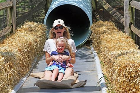 Cherry Crest Adventure Farm voted best corn maze in America - pennlive.com