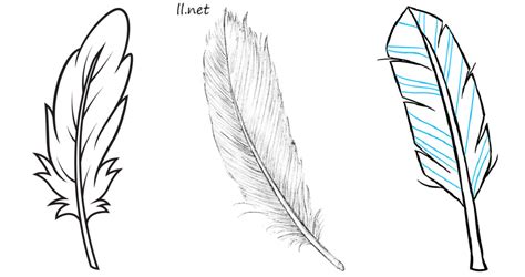 How To Draw A Realistic Feather Step By Step