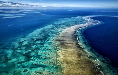 Saving our Pacific coral reefs, together. | Pacific Environment