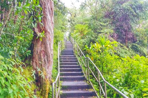 Akaka Falls loop trail in Hawaii: Hike the circle route to waterfalls in Akaka Falls State Park ...