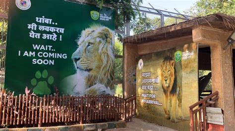 Byculla Zoo spends ₹20 crore on empty cages | Mumbai news - Hindustan Times