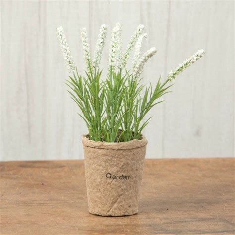 Potted White Spike Plant, Set of 2 | Plants, Antique farmhouse, Settings