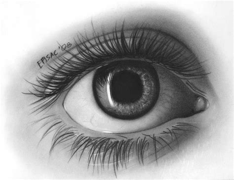 Realistic Eye Pencil Drawing at PaintingValley.com | Explore collection ...