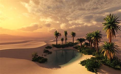 What Is The Importance Of Oasis In A Desert? - WorldAtlas.com