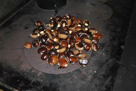 The tradition of wine and chestnuts