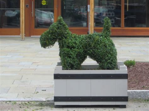 Topiary Design in Fun Animal Shapes