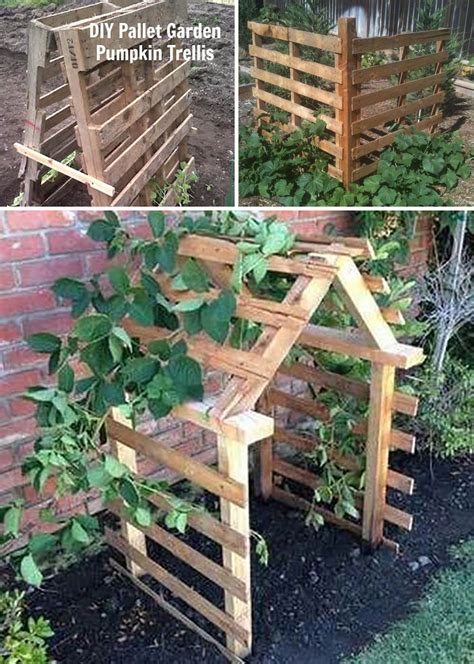 Top 28 Easy and Cheap DIY Garden Trellis Ideas