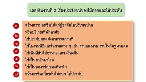 เฉลยใบงานที่ 2 เรื่องประโยชน์ไม้ดอกไม้ประดับ ป.4 - YouTube