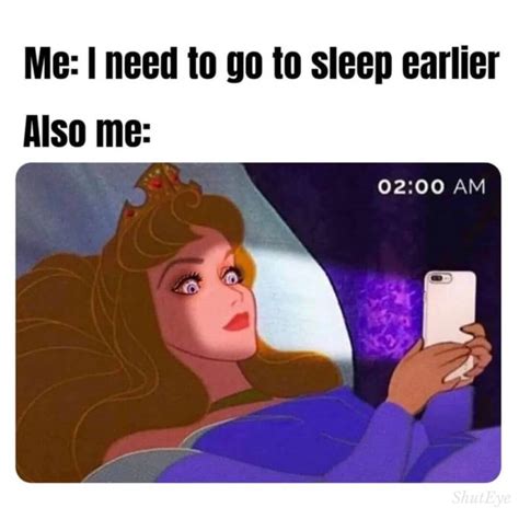 20 Best Go To Sleep Memes to Read at Midnight - ShutEye