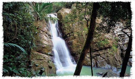 Río Grande, Puerto Rico – El Yunque City | BoricuaOnLine.com