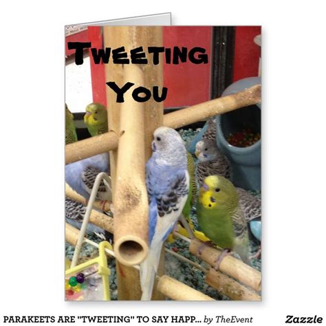 two parakeets are sitting on top of a bamboo pole with the words, tweeting you