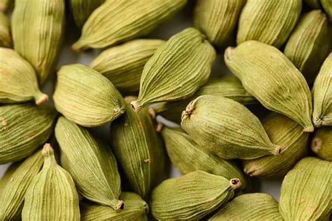 The Ultimate Guide to Crafting a Profitable Cardamom Farming Business ...