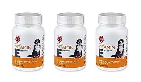 Vitamin E For Dogs: A Guide To The Health Benefits And Product Options