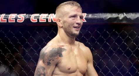 UFC Fight Night Sandhagen vs. Dillashaw Predictions, Odds, Preview