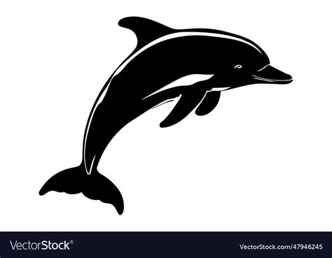 Jumping dolphin silhouette isolated Royalty Free Vector