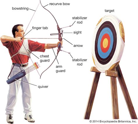 All you Need to Know about Archery | All Rules Explained