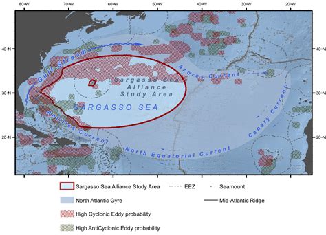 Sargasso Sea Study Map — Yacht Charter & Superyacht News