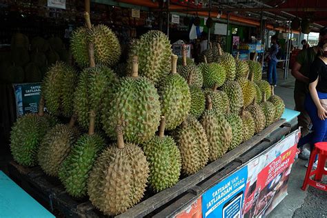 Davao City agri office to distribute 10K durian seedlings in July - The Monitor Mindanao Today