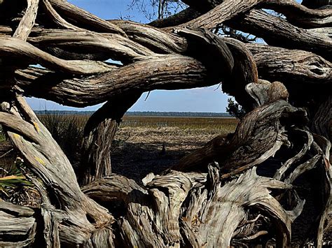 Crooked River State Park, a Georgia State Park located near Fernandina ...