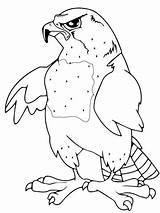Falcon Mascot coloring Page  Free Printable Coloring Pages sketch template