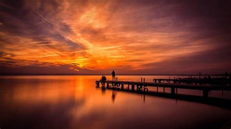 THE LAKE OF RICE AND THE FOREST ON THE DUNES: L’ALBUFERA NATIONAL PARK (VALENCIA) • 24/7 Valencia