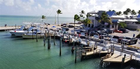 Whale Harbor Marina - Florida Keys Fishing Charters at their Best! | Islamorada, Key Largo