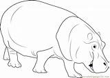 Hippopotamus Coloring Page For Kids  Free Printable sketch template