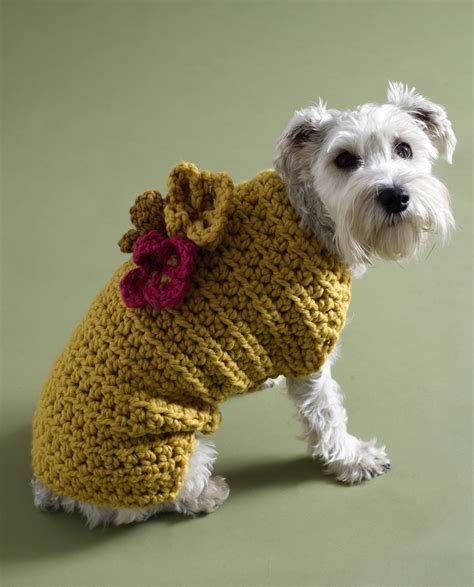 Printable Free Crochet Dog Sweater Pattern - Printable Templates