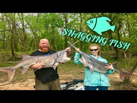 Snagging Fish - Spoonbill Fishing Oklahoma - YouTube