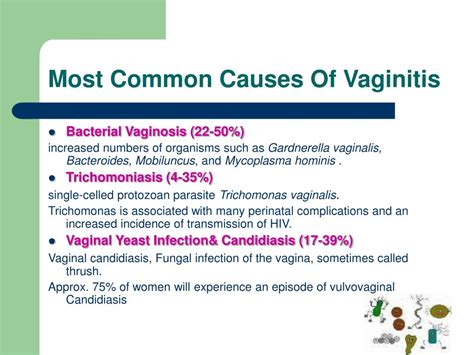 PPT - VAGINAL COMBINED THERAPY PowerPoint Presentation, free download ...