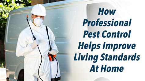 How Professional Pest Control Helps Improve Living Standards At Home – The Pinnacle List