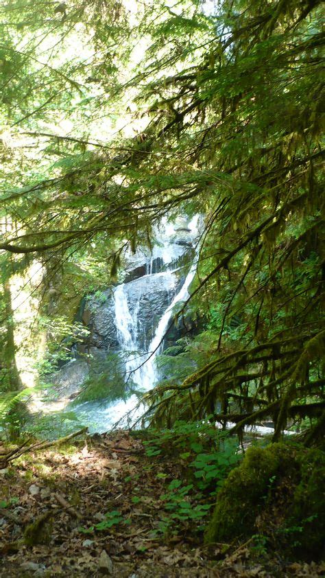 wolf creek falls Glide Oregon - the hike is simply beautiful. (even ...