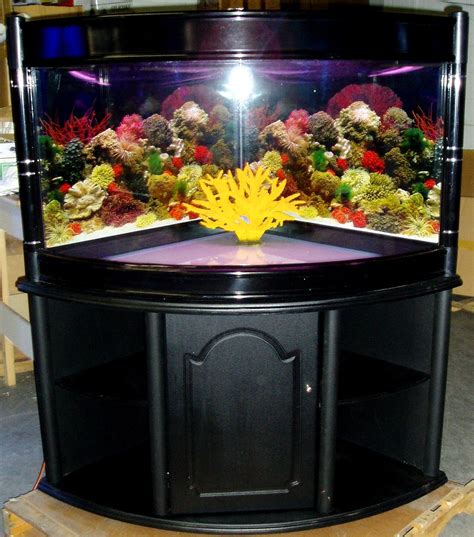 Corner Aquarium With Stand - VisualHunt