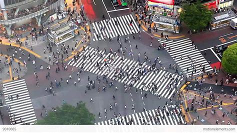 Tokyo, Japan - Shibuya Pedestrian Crossing Also Known As Shibuya Scramble Stock video footage ...