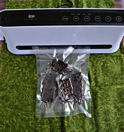 Homemade Beef Jerky + ICO Vacuum Sealer Review - Hezzi-D's Books and Cooks