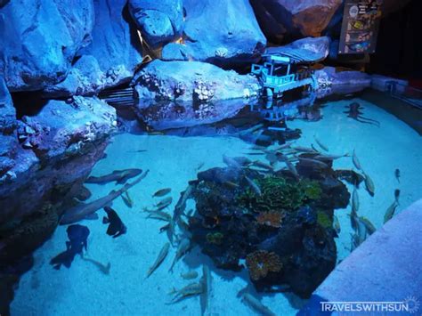 Aquaria KLCC – Oceanarium In The Middle Of Kuala Lumpur!