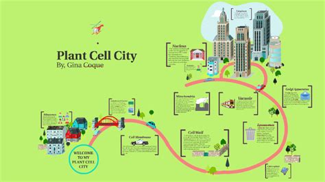 Cell City Diagram