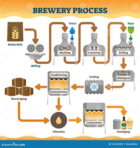 Brewery Process Vector Illustration. Labeled Beer Ale Making Process Scheme Stock Vector ...