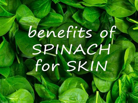 You Can't Believe Benefits of Spinach for Skin | Spinach benefits, Skin diseases, Spinach