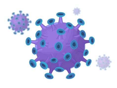 Virus Structure ( Read ) | Biology | CK-12 Foundation