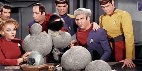 a scene from Trouble with Tribbles, an episode of the | Stable ...