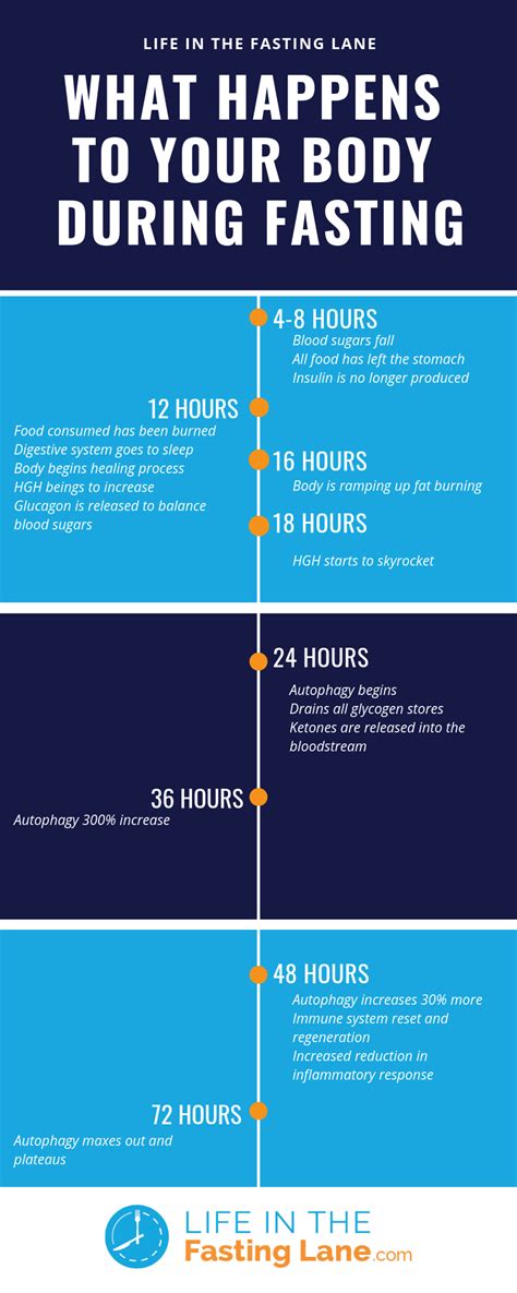 What Happens To Your Body During Fasting? — Fasting Lane